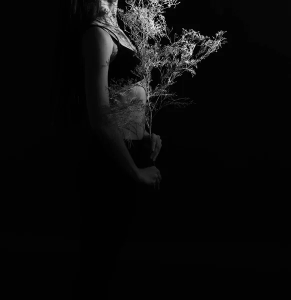 여성의 어두운 과밝고 부드러운 배경을 아름다운 미니멀리즘적 — 스톡 사진