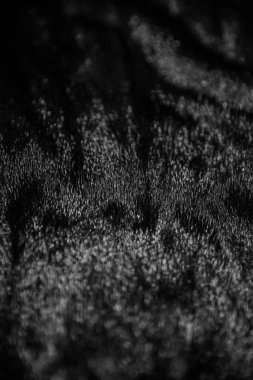 Vizon kürk yakın plan, siyah vizon kürk yakın plan, doğal yüne vurgular.