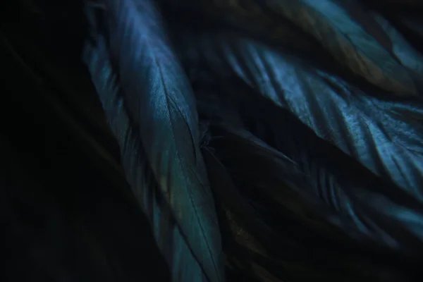 青い魔法の鳥の羽のクローズアップ 美しいジューシーな青い飽和鳥の背景 — ストック写真