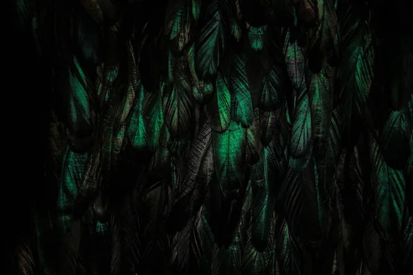 Abstraktní Pozadí Zeleného Tmavého Peří Duhová Zelená Zvýraznění Peří — Stock fotografie