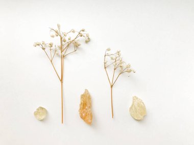 Doğal reçine seti ve kurumuş çiçek dalları, beyaz arka planda tütsü.