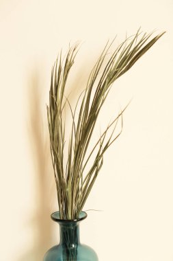 Kuru dallar, bitkisel makro fotoğraf, yumuşak odak arkaplanı