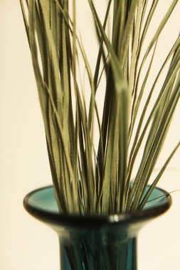 Yeşil bitkilerin doğal arka planı, doğanın renkli dokuları, yumuşak odak arkaplanı