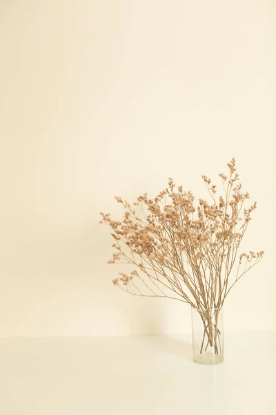 Herbarium Bouquet Authentic Vase Neutral Background Place Text Side View — Stock Photo, Image