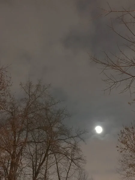Gecenin Sisli Manzarası Gökyüzünde Dolunay — Stok fotoğraf