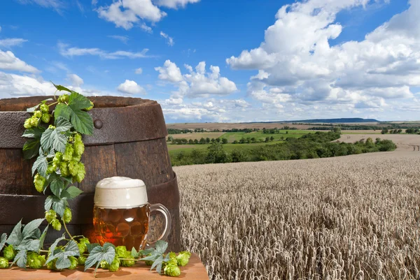 Cerveja com campo de trigo — Fotografia de Stock