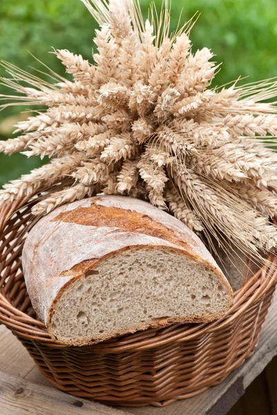 Hoja de pan — Foto de Stock