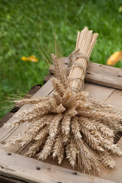 Sheaf of wheat — Stock Photo, Image