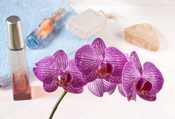 Orchidee in de badkamer — Stockfoto