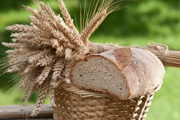 Bread with wheat — Stock Photo, Image