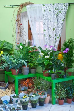 çiçekçi dükkanı