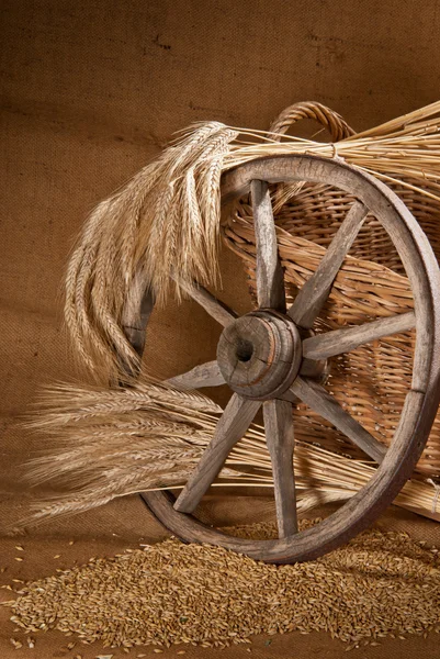 Stilleven met oude velgen — Stockfoto