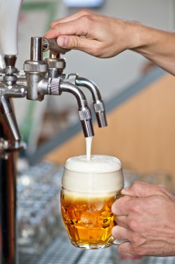 bira musluğu