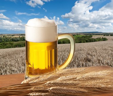Bira Kadehi