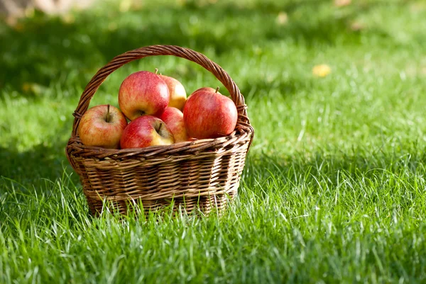 Manzanas — Foto de Stock