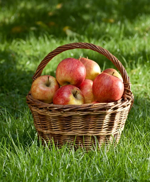 Manzanas — Foto de Stock