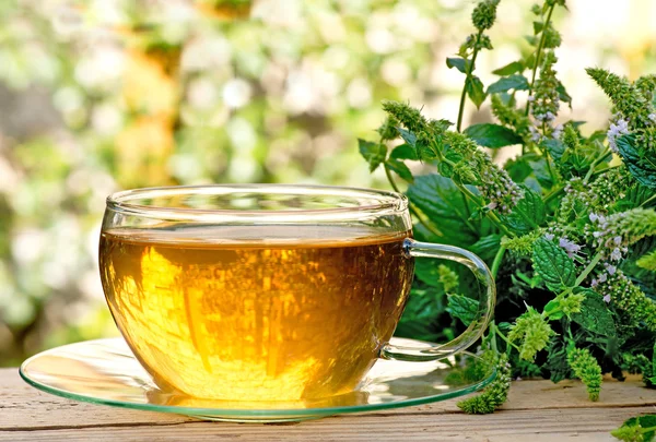 Tea with peppermint — Stock Photo, Image