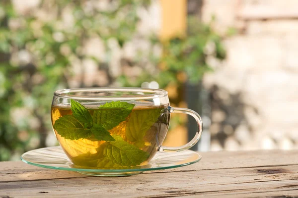 Tea with peppermint — Stock Photo, Image