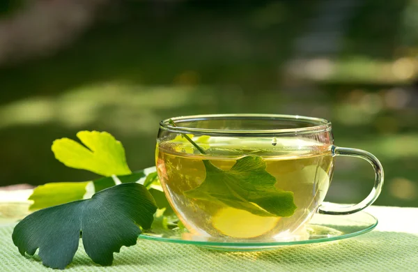 Čaj s léčivá rostlina — Stock fotografie