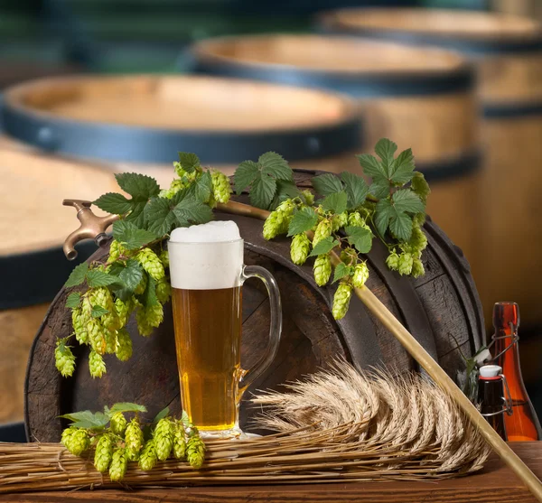 Bira ve hop koniler — Stok fotoğraf