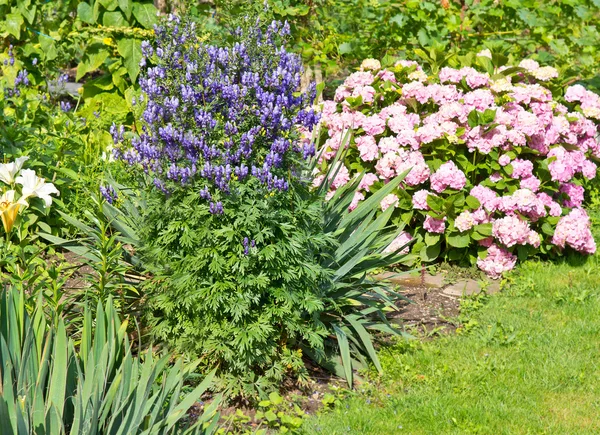 Flower bed — Stock Photo, Image