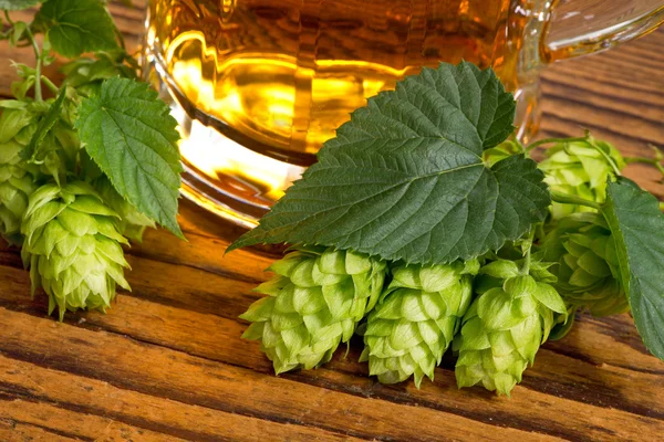 Stillleben mit Hopfen — Stockfoto