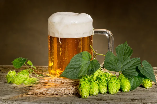 Stillleben mit Bier und Hopfen — Stockfoto