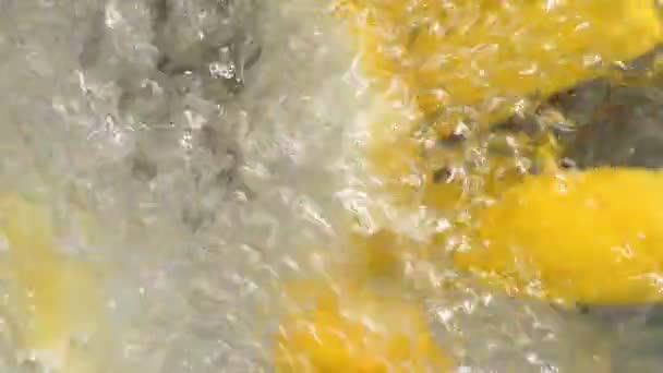 Limones en el agua — Vídeo de stock