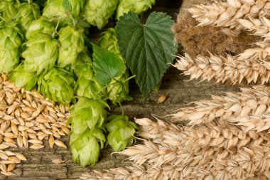 bira üretimi için ham matereial