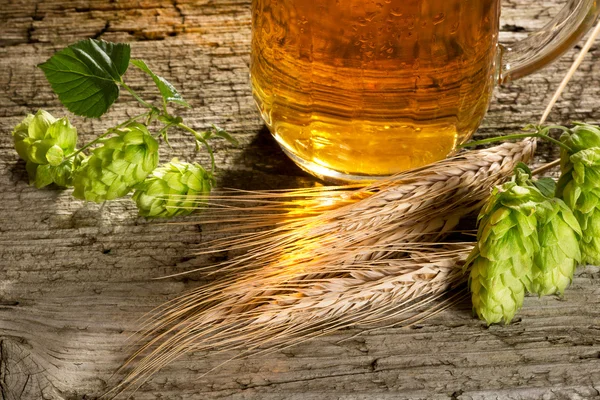 Cerveza y materia prima para la producción de cerveza — Foto de Stock