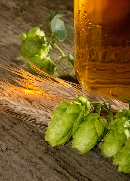Cerveja e matéria-prima para a produção de cerveja — Fotografia de Stock