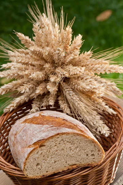 Ψωμί και σιτάρι — Φωτογραφία Αρχείου