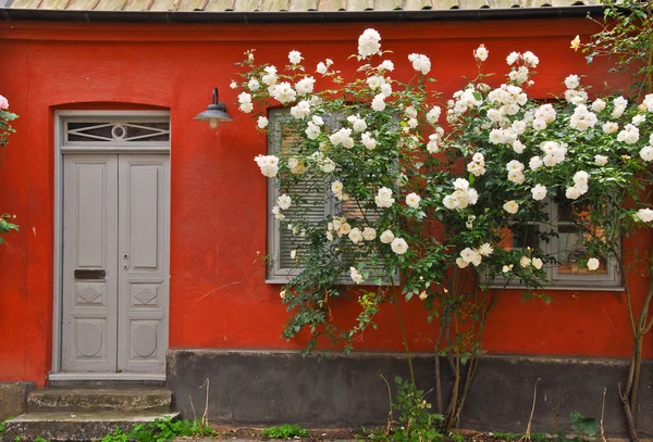 De ingang van het huis — Stockfoto