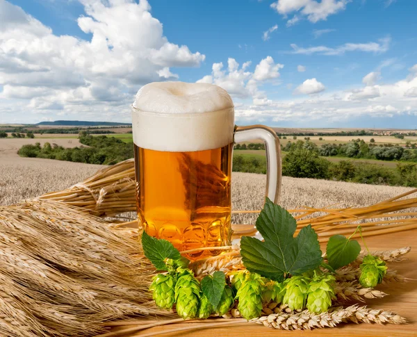 Natura morta con birra — Foto Stock