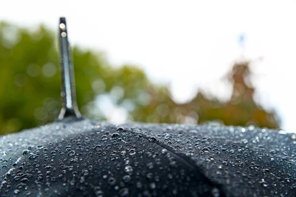 Ayrıntı şemsiye — Stok fotoğraf