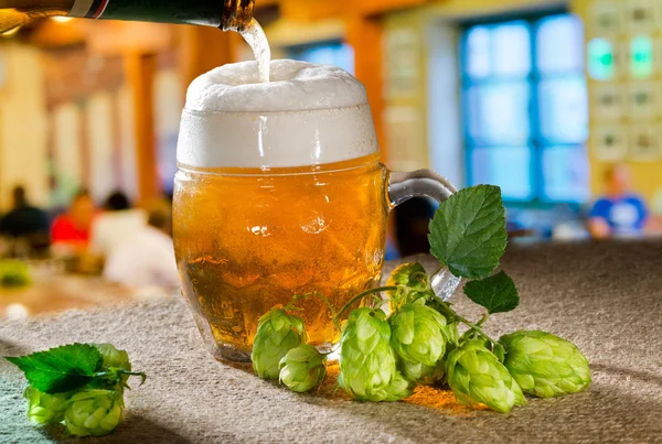 Üveg sör és a komló — Stock Fotó