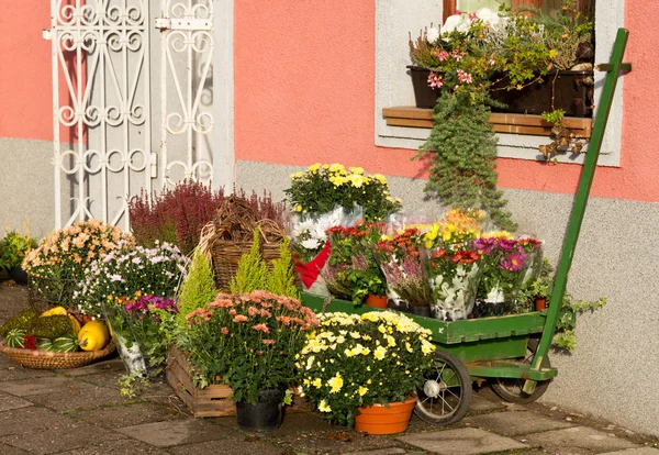 Buiten bloemist winkel — Stockfoto