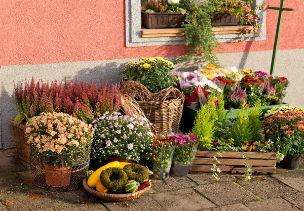 Outside florist shop — Stock Photo, Image