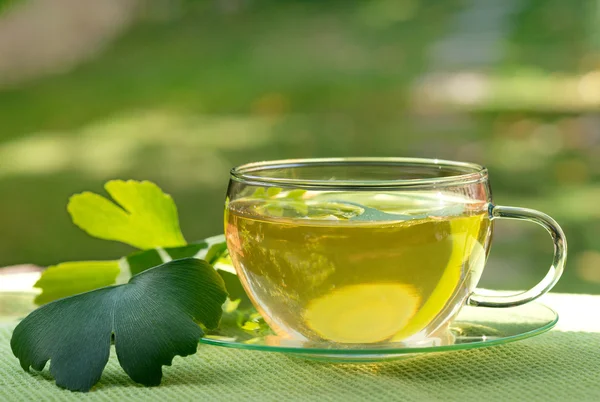 Tea with herbaceous plant — Stock Photo, Image