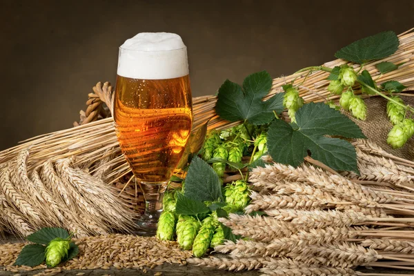 Bicchiere di birra — Foto Stock