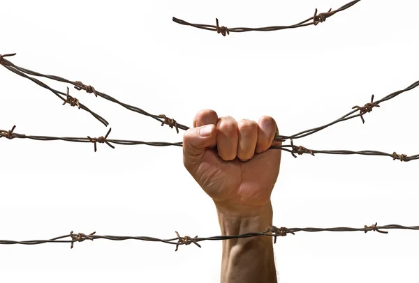 Hand behind barbed wire — Stock Photo, Image