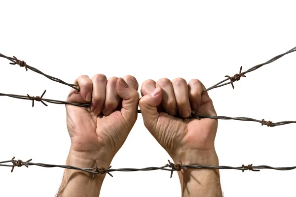 Hand behind barbed wire — Stock Photo, Image