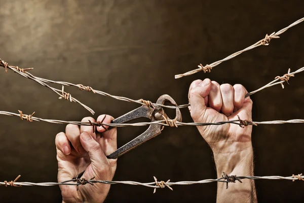 Barbed wire with hands — Stock Photo, Image