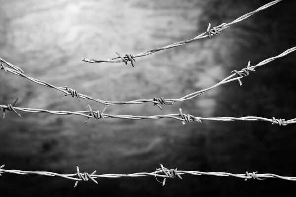 barbed wire fence