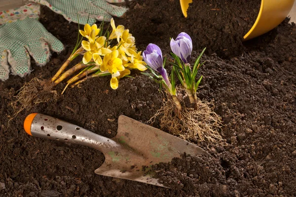 Work In The Garden — Stock Photo, Image