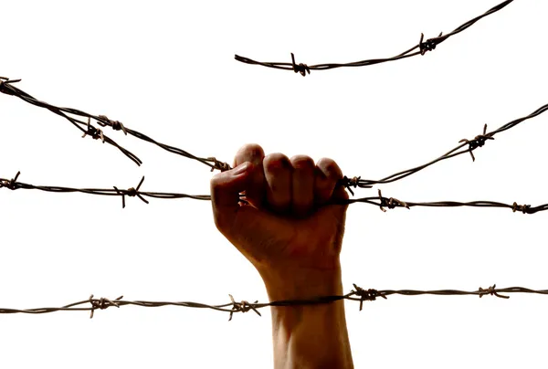 Hand behind barbed wire — Stock Photo, Image