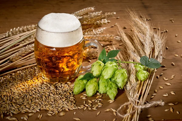 Bierglas en hop — Stockfoto