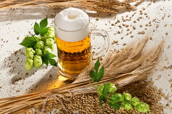 Bicchiere di birra e luppolo — Foto Stock