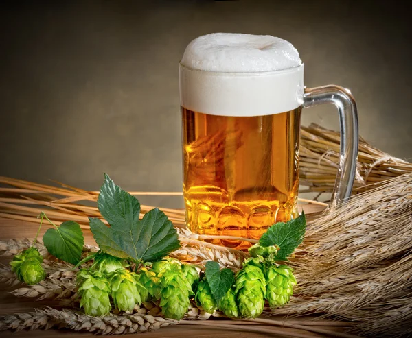 Stillleben mit Bier und Hopfen — Stockfoto