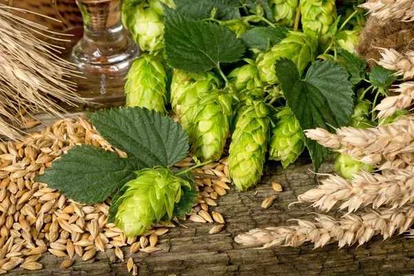 bira üretimi için ham maddeler